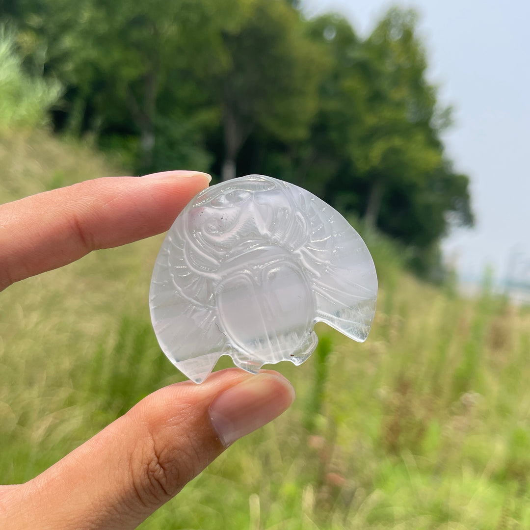 Natural Cute Crystal Scarab Carving