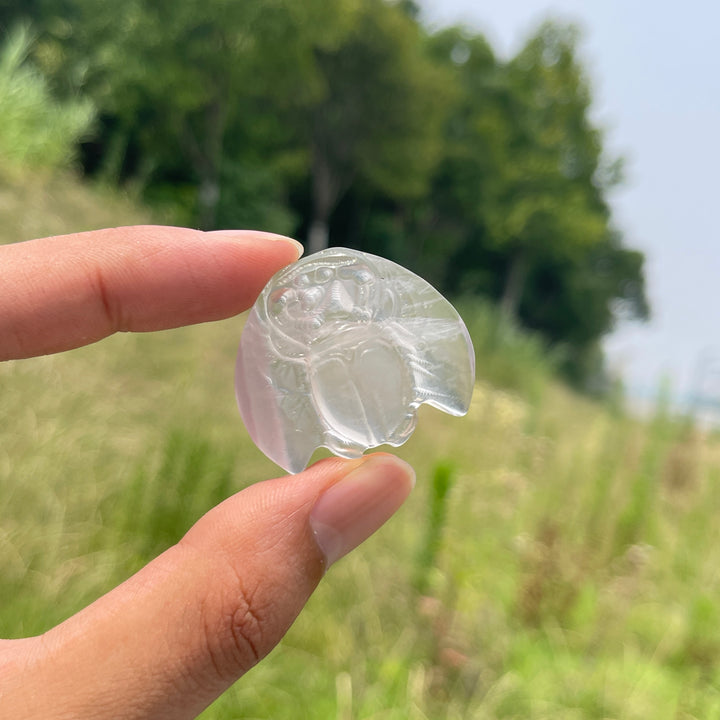 Natural Cute Crystal Scarab Carving