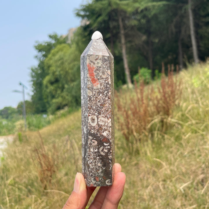 Unique,Natural Crystal Crinoid Fossil Point