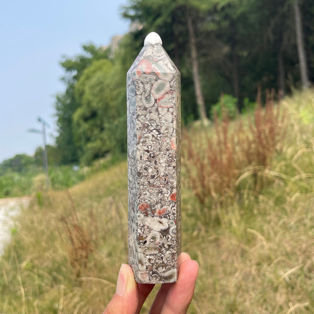 Unique,Natural Crystal Crinoid Fossil Point