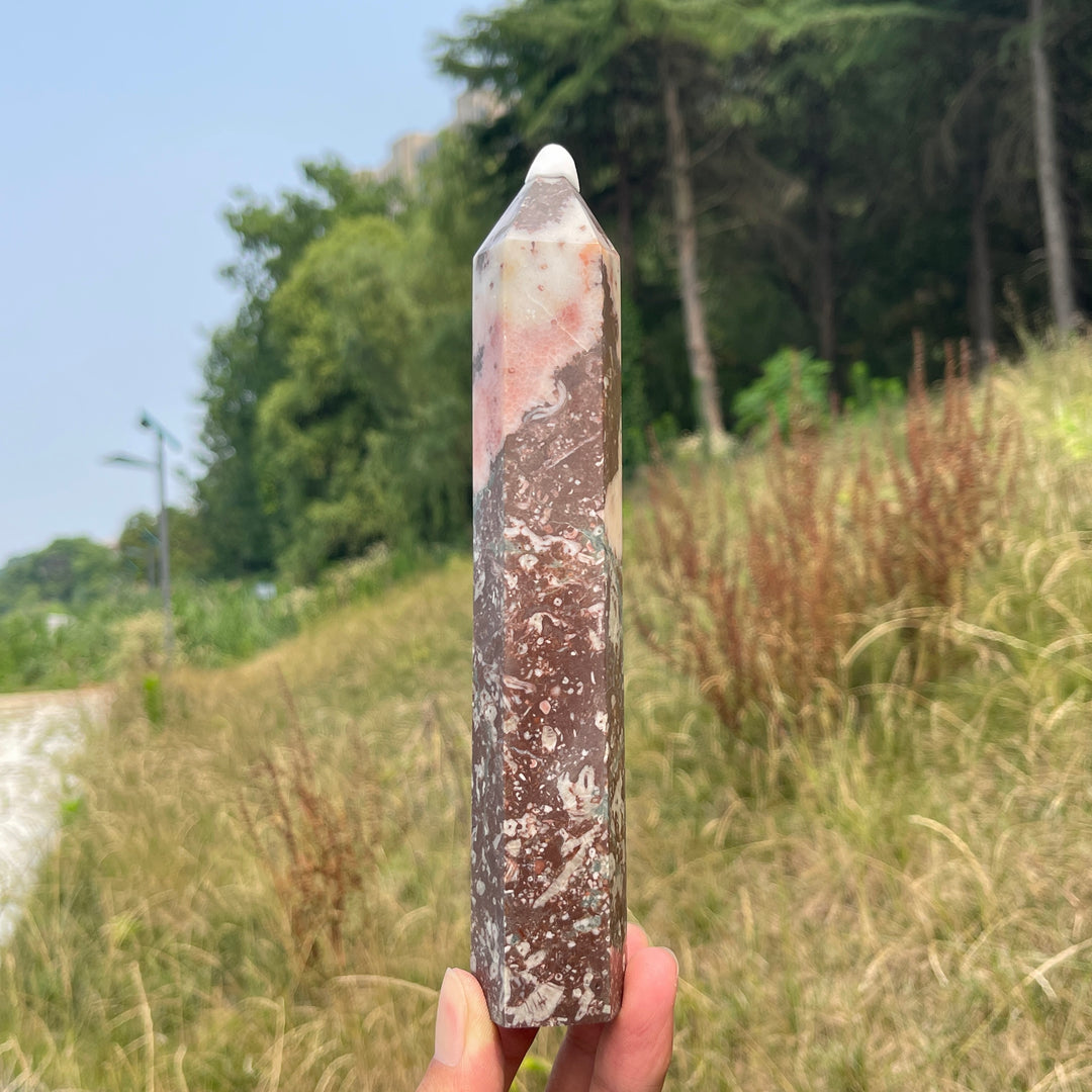 Unique,Natural Crystal Crinoid Fossil Point