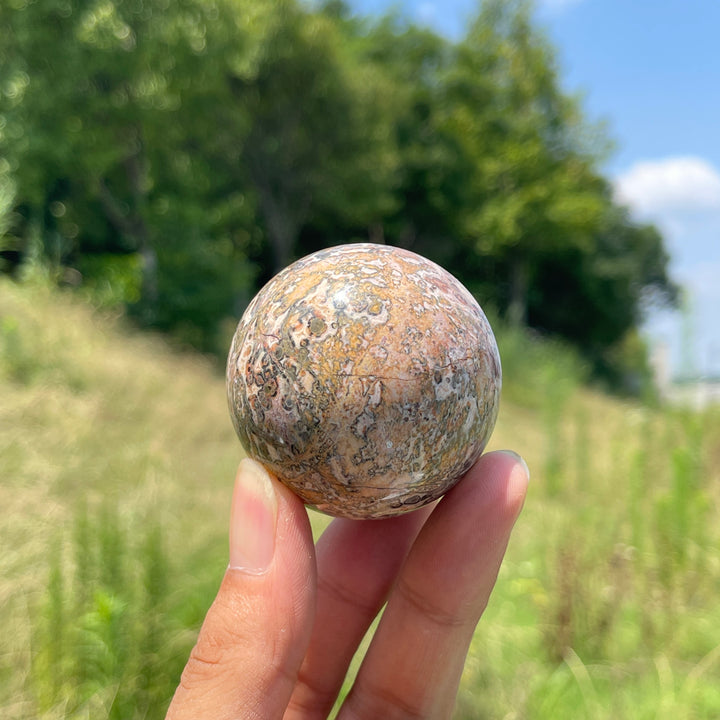 Natural Round Crystal Leopard Skin Jasper Sphere