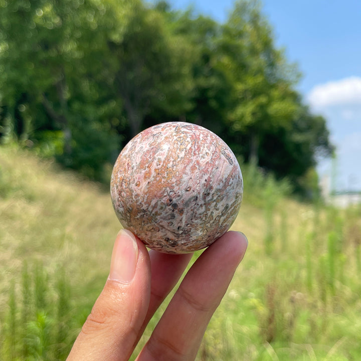 Natural Round Crystal Leopard Skin Jasper Sphere