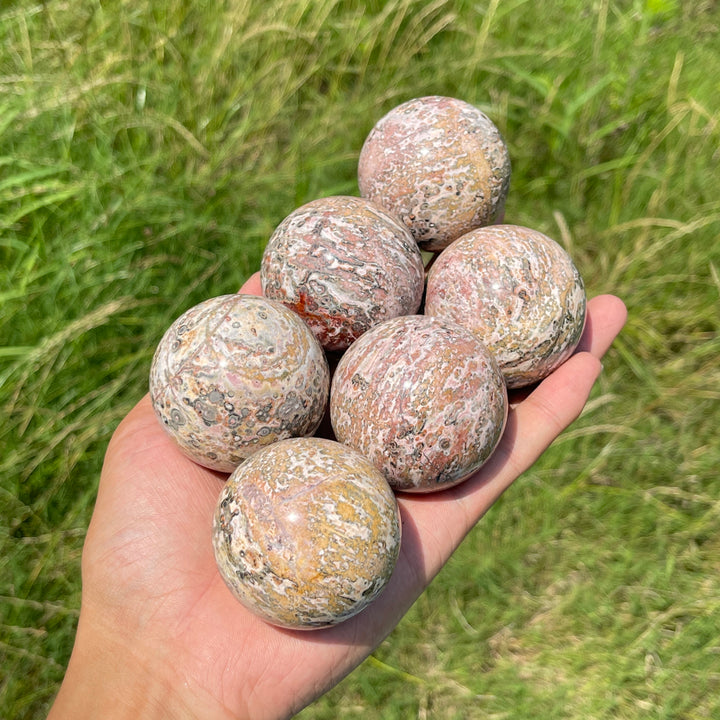 Natural Round Crystal Leopard Skin Jasper Sphere