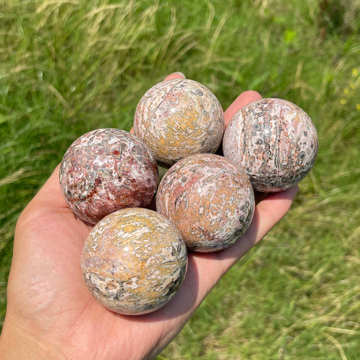 Natural Round Crystal Leopard Skin Jasper Sphere