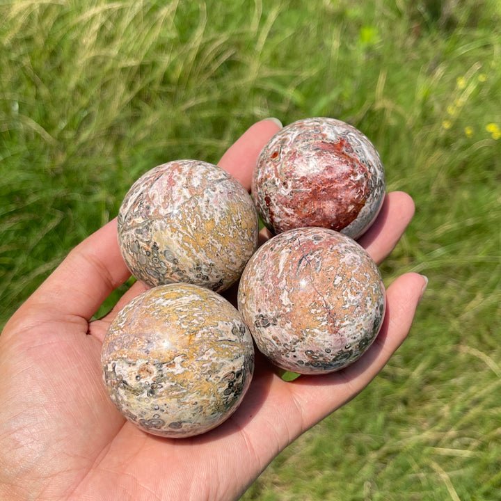 Natural Round Crystal Leopard Skin Jasper Sphere