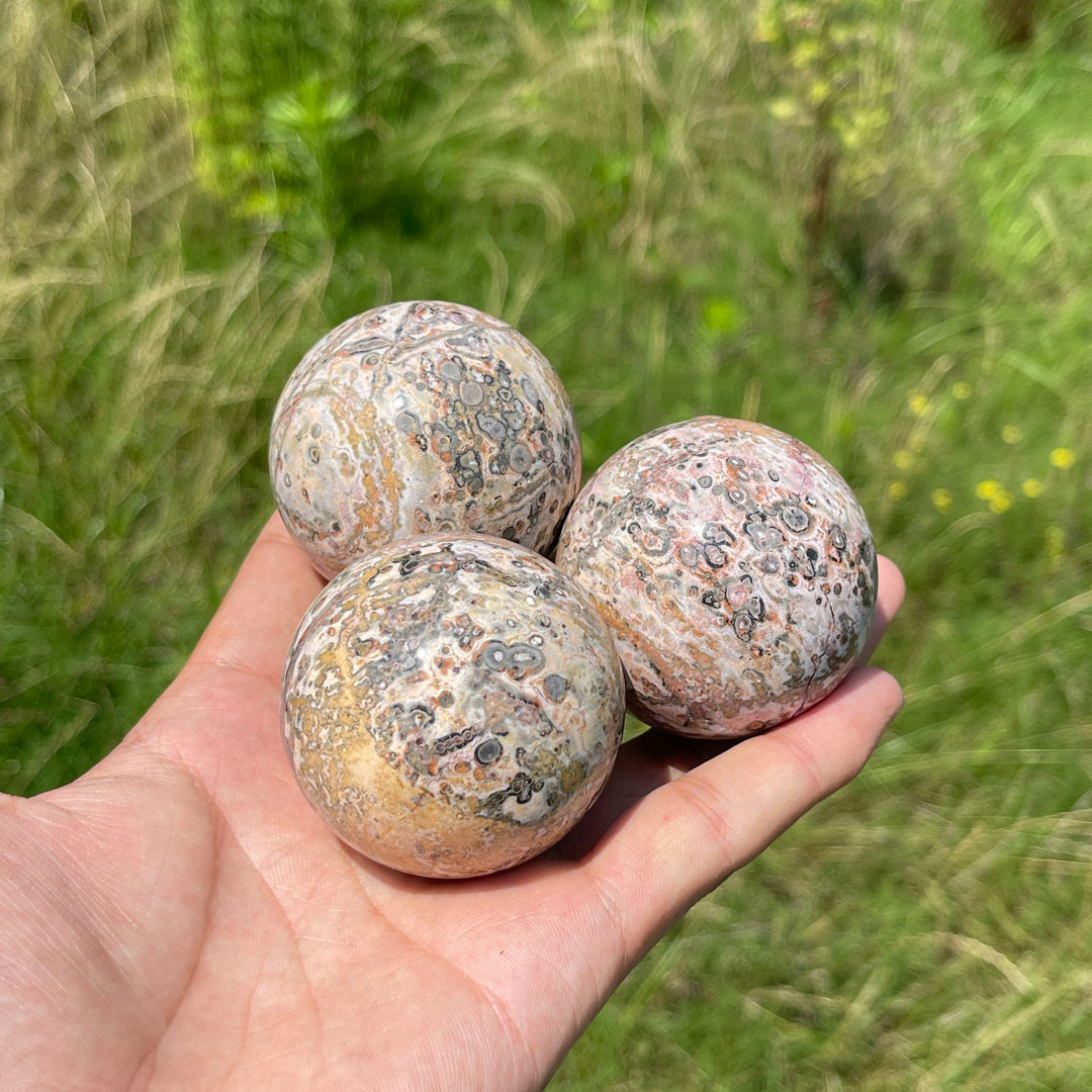 Natural Round Crystal Leopard Skin Jasper Sphere