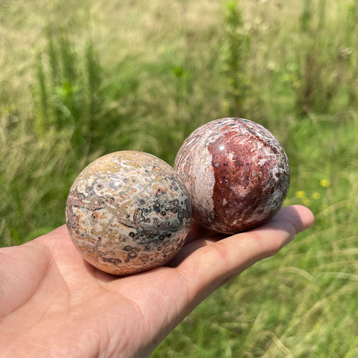 Natural Round Crystal Leopard Skin Jasper Sphere