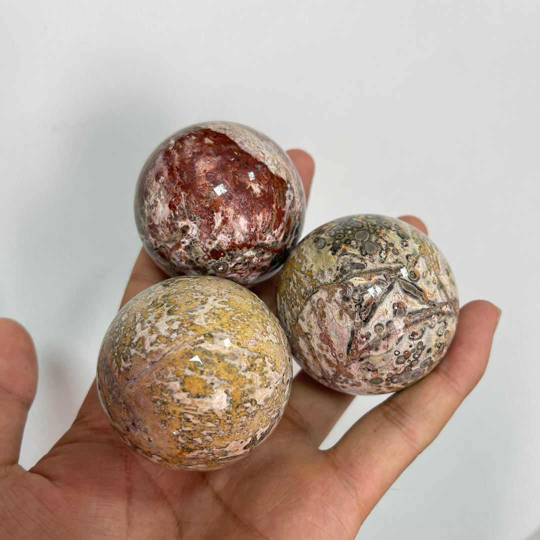 Natural Round Crystal Leopard Skin Jasper Sphere