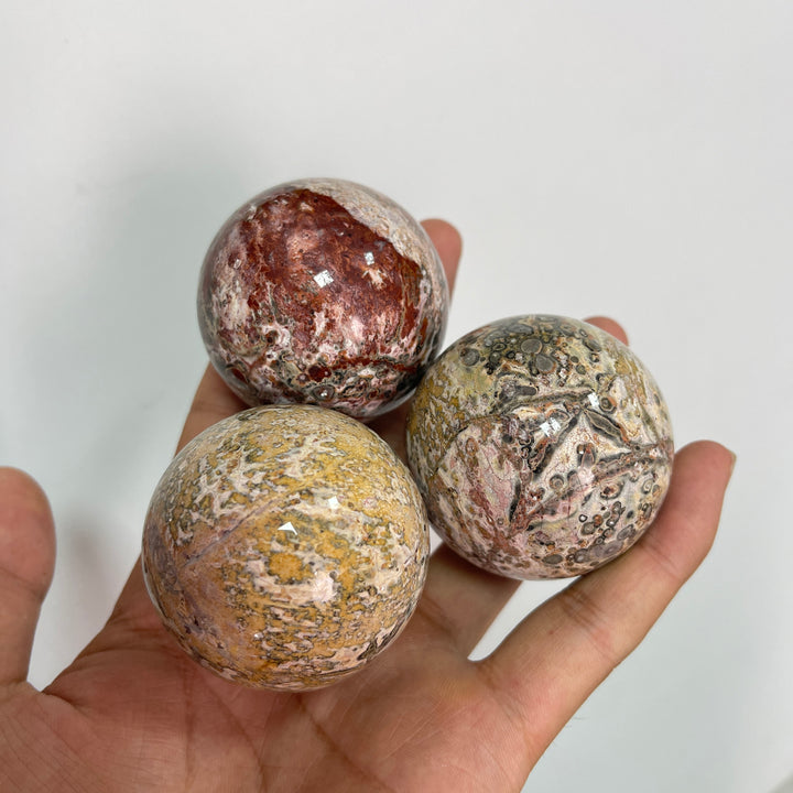 Natural Round Crystal Leopard Skin Jasper Sphere