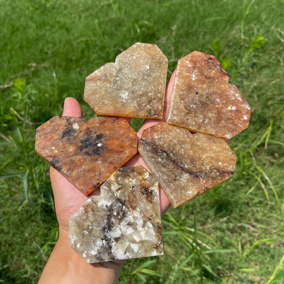 Natural Crystal Warm Phlogopite With Hematite Heart
