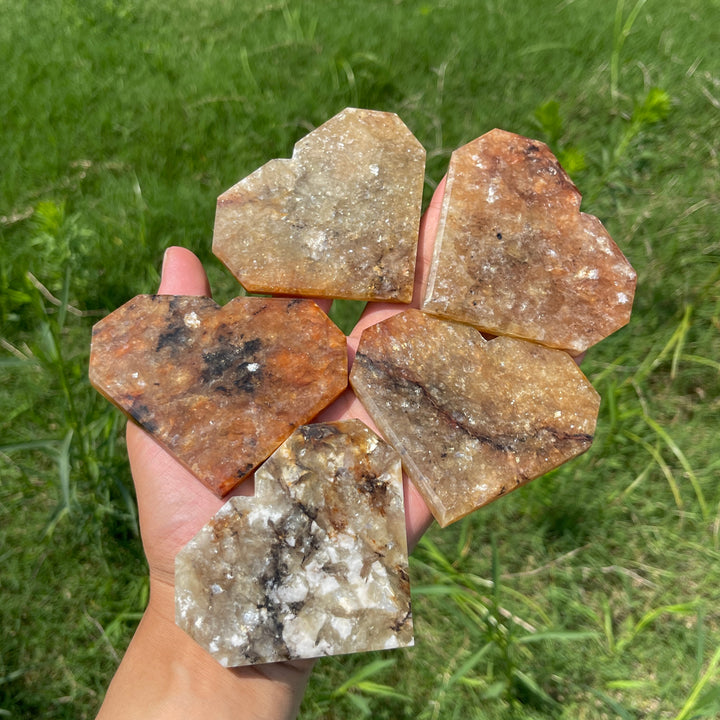 Natural Crystal Warm Phlogopite With Hematite Heart