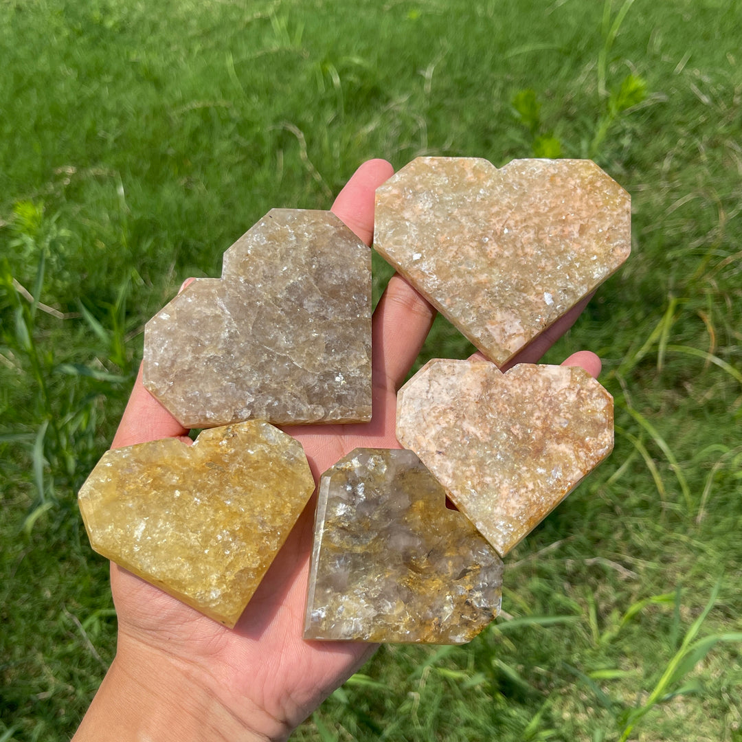 Natural Crystal Warm Phlogopite With Hematite Heart