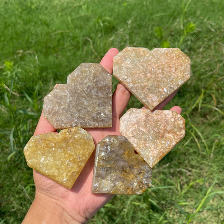Natural Crystal Warm Phlogopite With Hematite Heart
