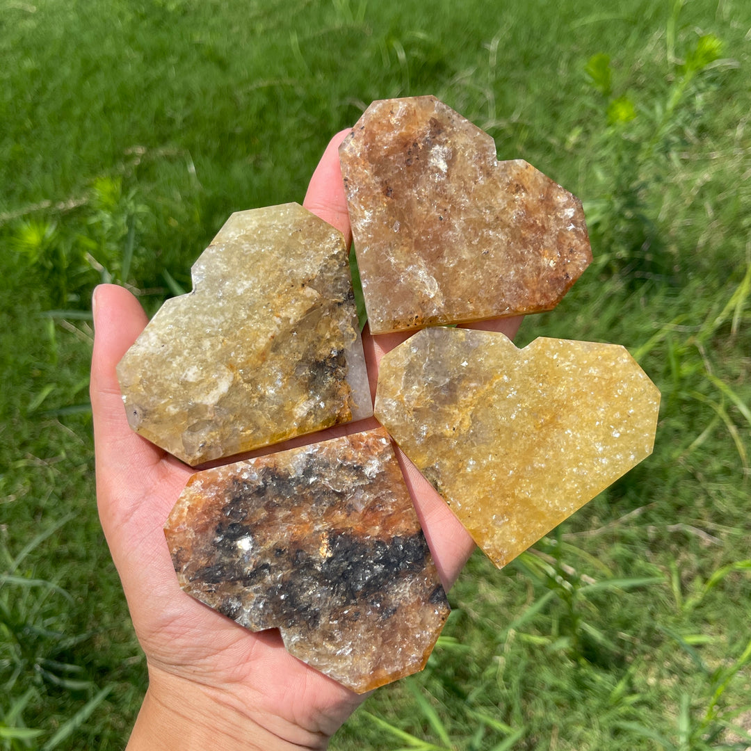 Natural Crystal Warm Phlogopite With Hematite Heart