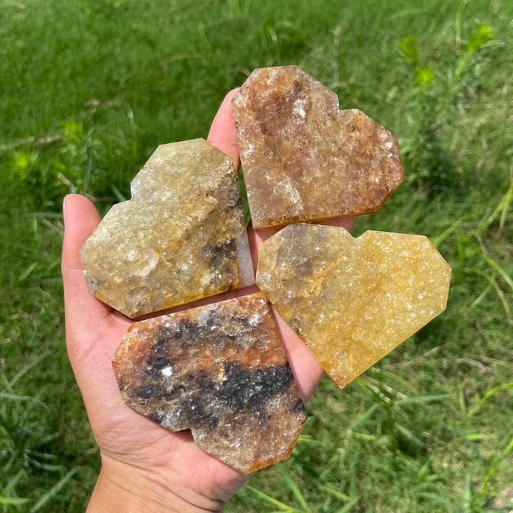 Natural Crystal Warm Phlogopite With Hematite Heart