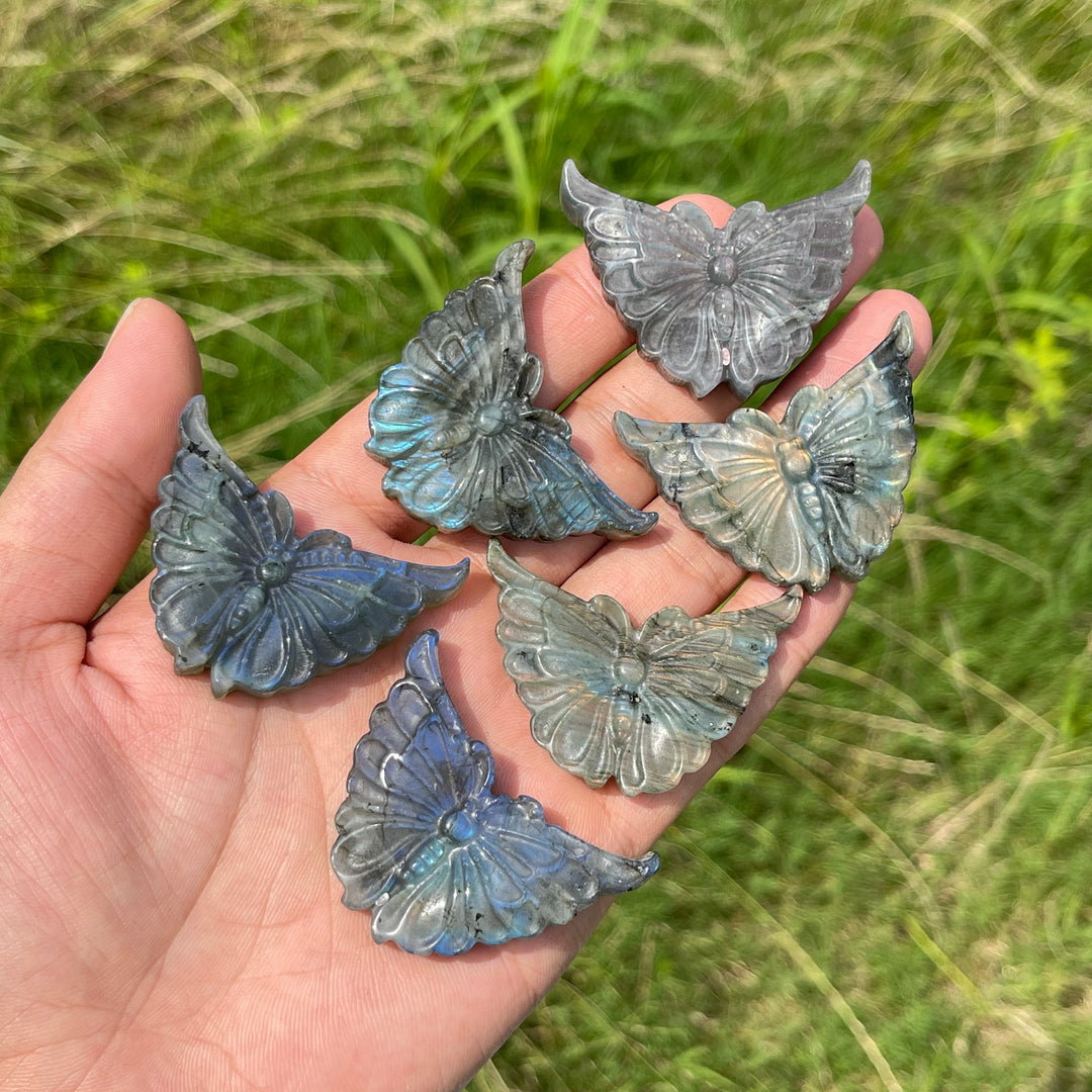 Natural Crystal Carving Labradorite Butterfly