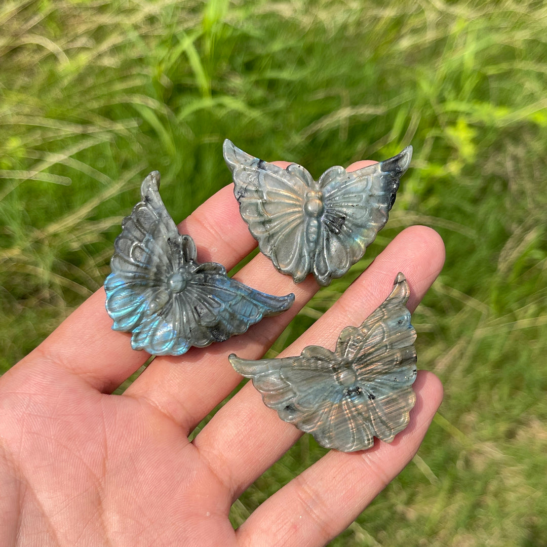 Natural Crystal Carving Labradorite Butterfly