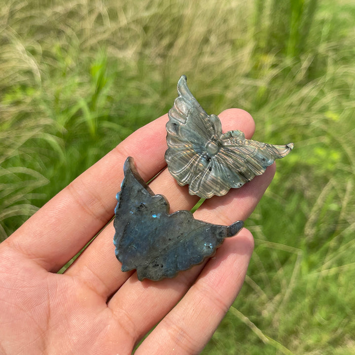Natural Crystal Carving Labradorite Butterfly