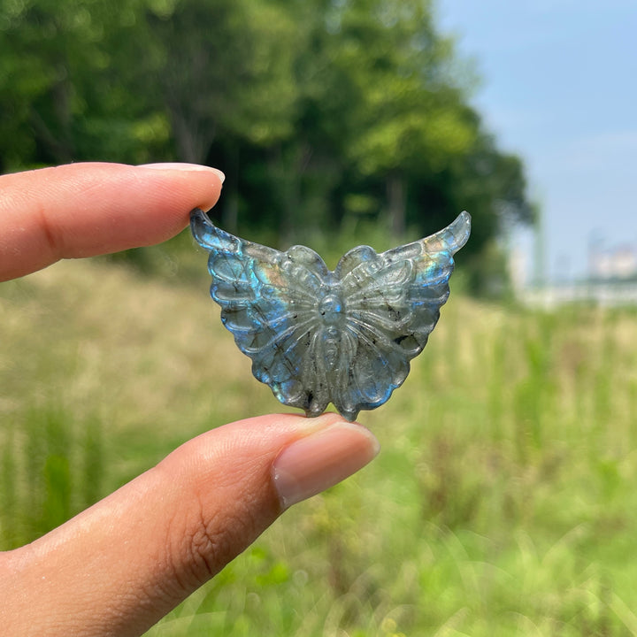 Natural Crystal Carving Labradorite Butterfly