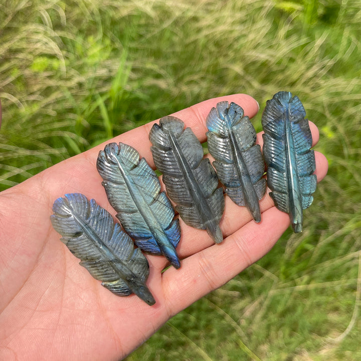 Natural Crystal Labradorite Feather Carving