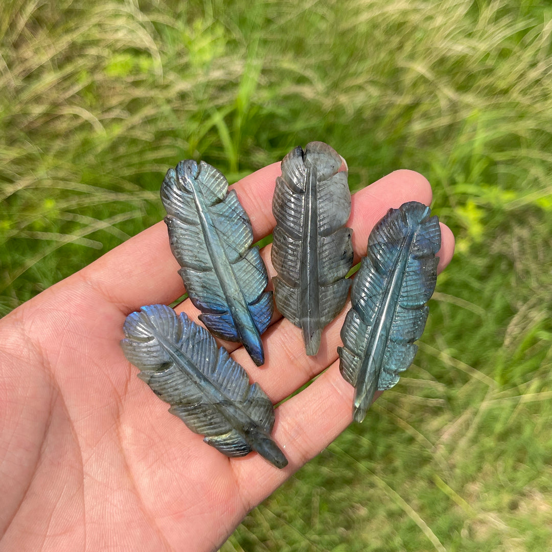 Natural Crystal Labradorite Feather Carving