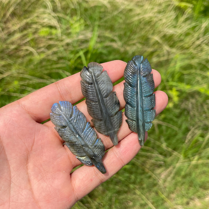 Natural Crystal Labradorite Feather Carving