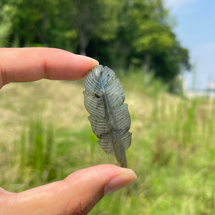 Natural Crystal Labradorite Feather Carving
