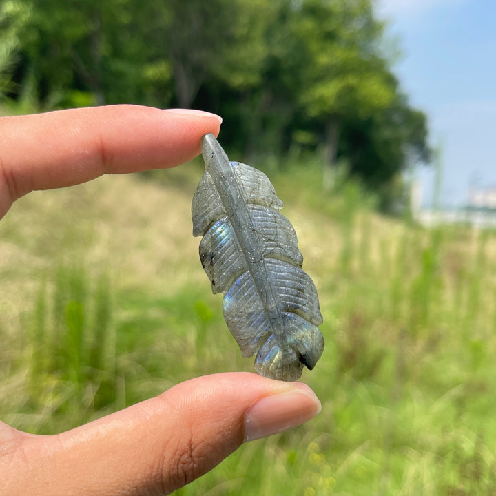 Natural Crystal Labradorite Feather Carving