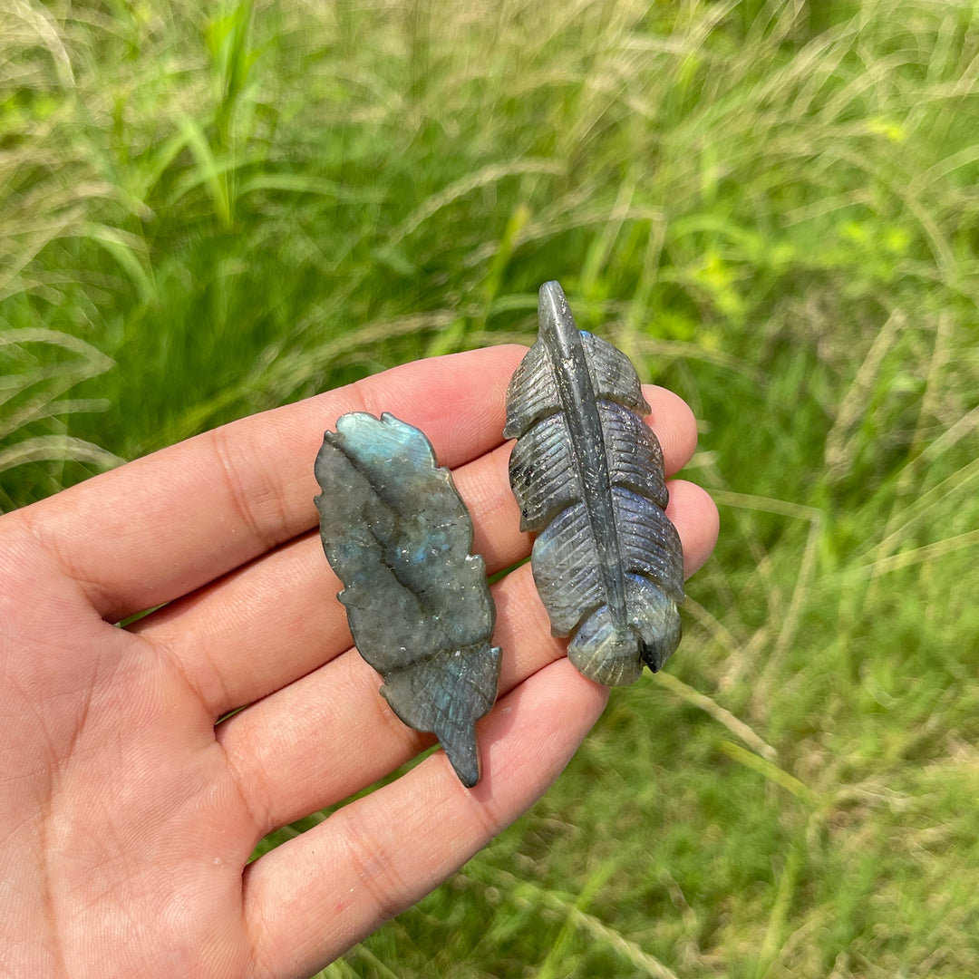 Natural Crystal Labradorite Feather Carving