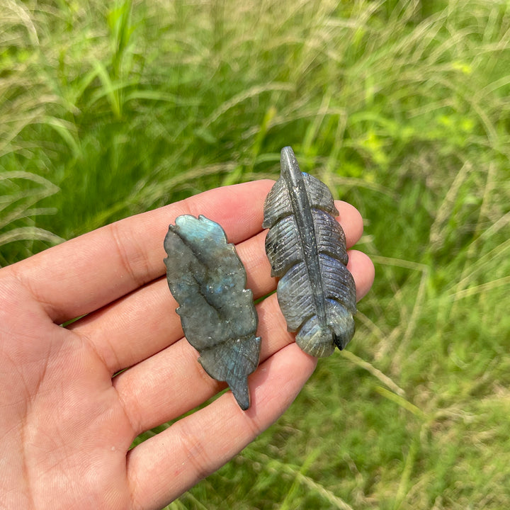 Natural Crystal Labradorite Feather Carving