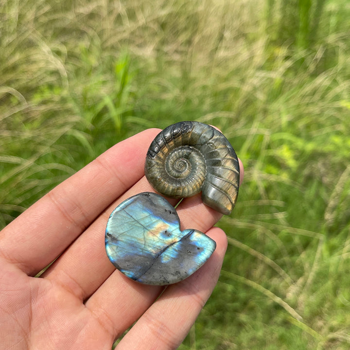 Escultura de Cristal Natural de Ammonite de Labradorita