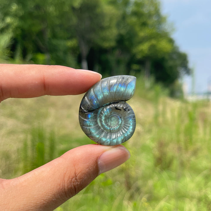 Escultura de Cristal Natural de Ammonite de Labradorita
