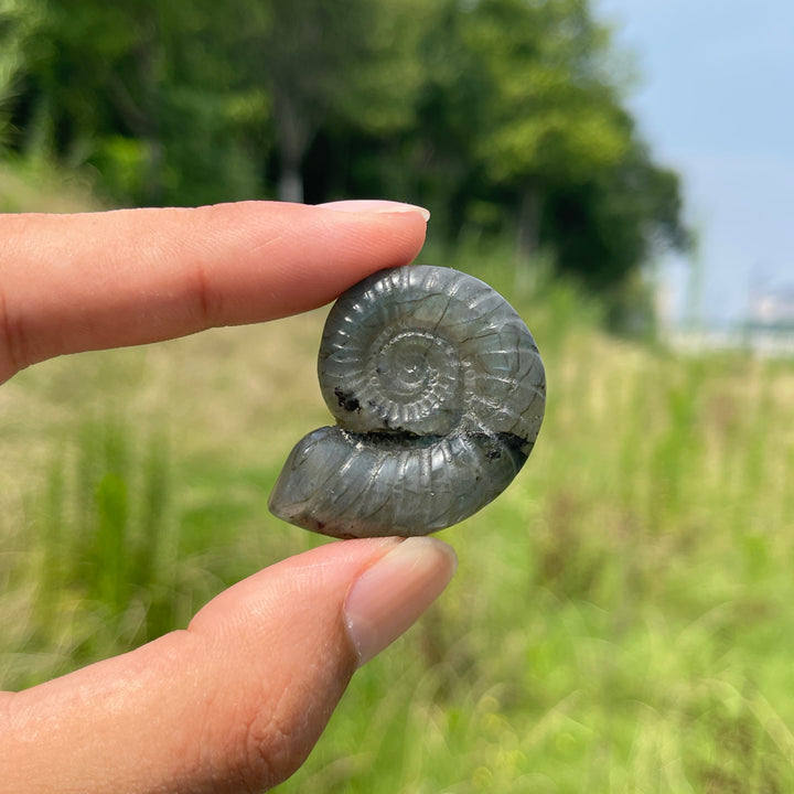 Escultura de Cristal Natural de Ammonite de Labradorita