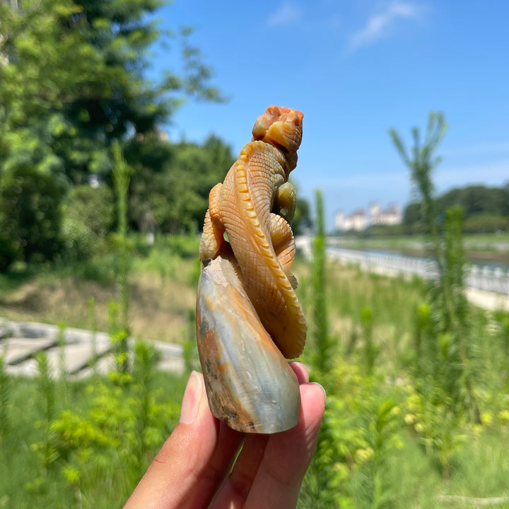 Unique,Natural Crystal Blue Quartzite Lizard Carving