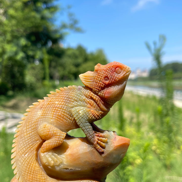 Unique,Natural Crystal Blue Quartzite Lizard Carving