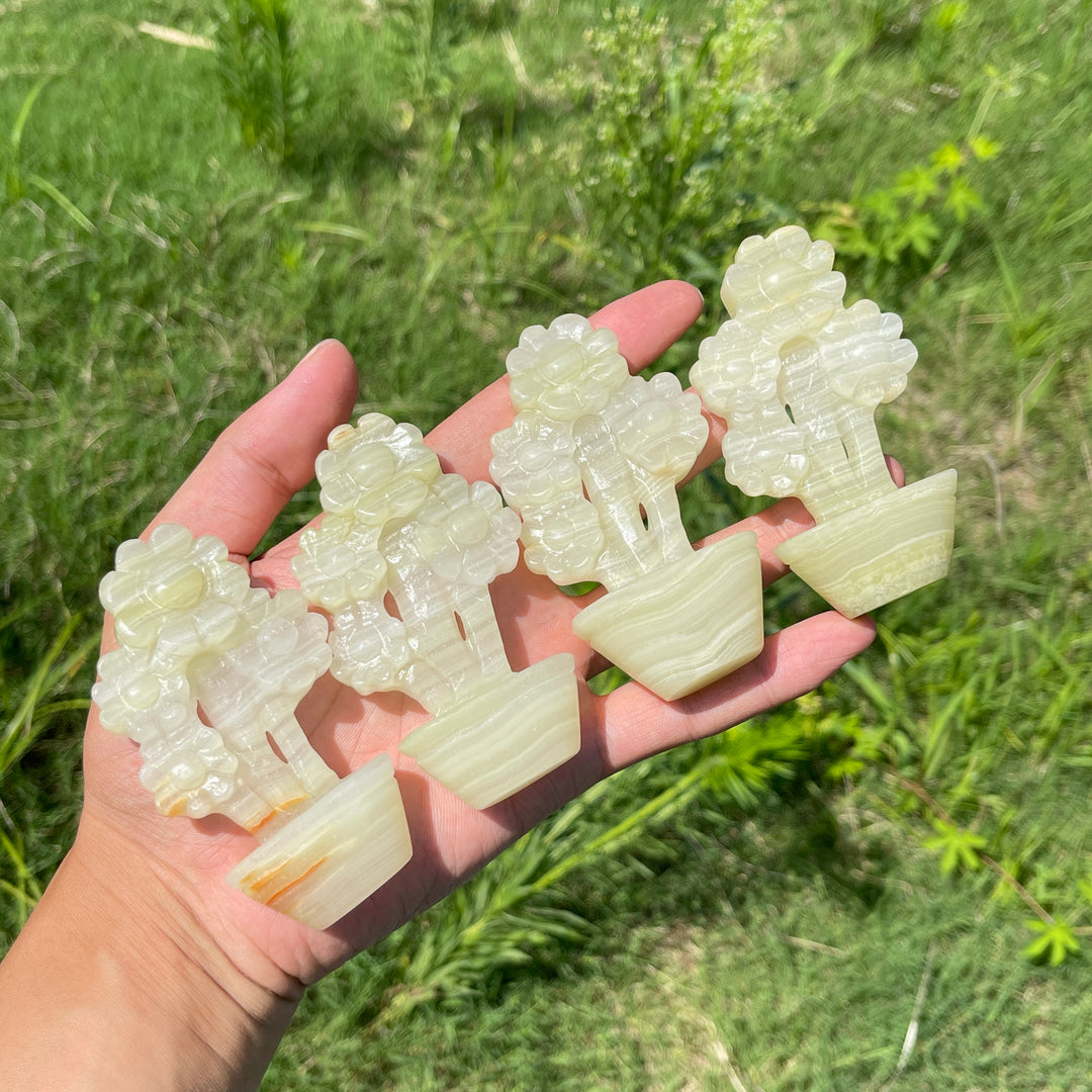 Natural Crystal Afghanistan Jade Sunflower Carving
