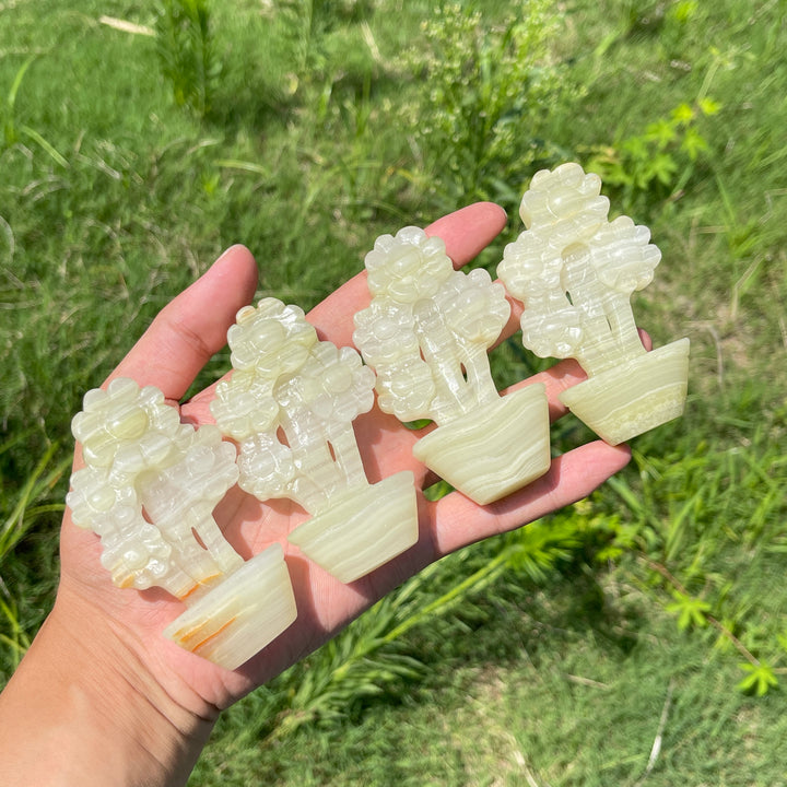 Natural Crystal Afghanistan Jade Sunflower Carving