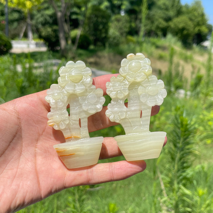 Natural Crystal Afghanistan Jade Sunflower Carving