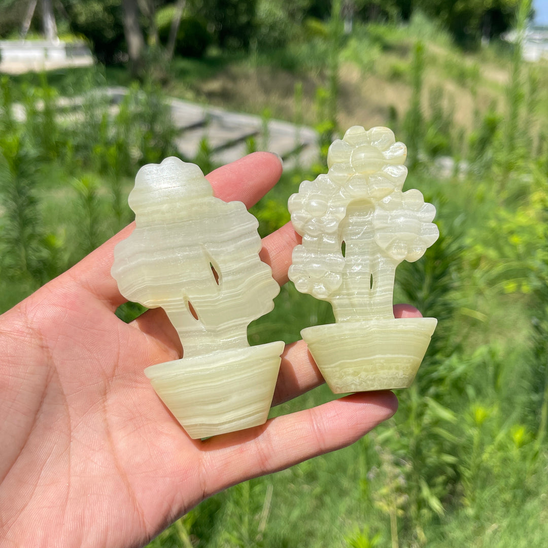 Natural Crystal Afghanistan Jade Sunflower Carving