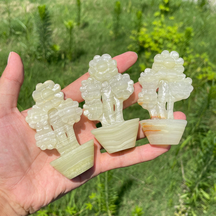 Natural Crystal Afghanistan Jade Sunflower Carving