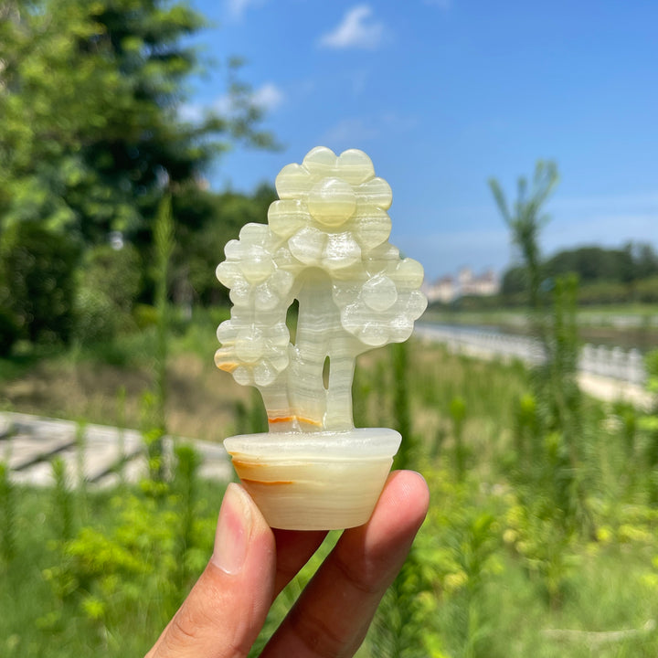 Natural Crystal Afghanistan Jade Sunflower Carving