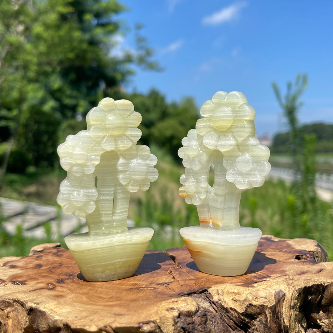 Natural Crystal Afghanistan Jade Sunflower Carving