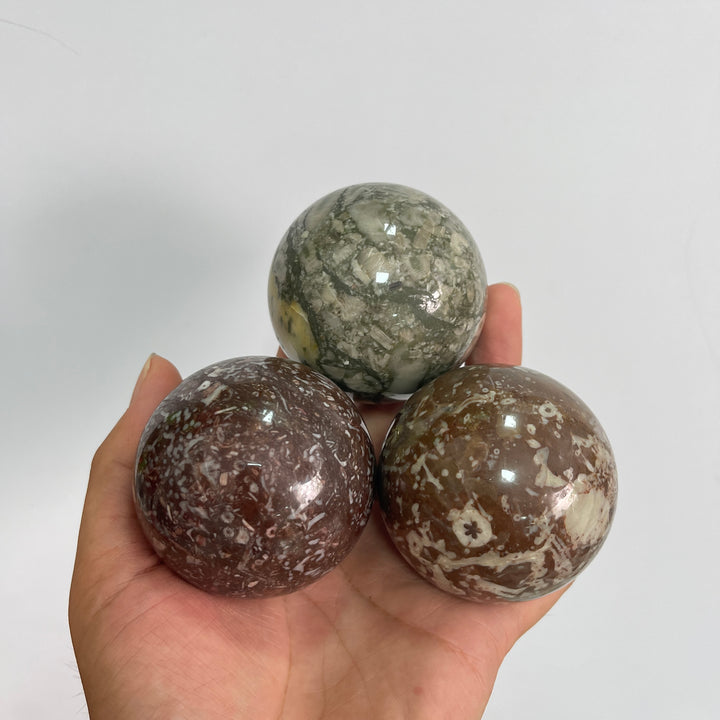 Natural Crystal Round Crinoid Fossil Sphere