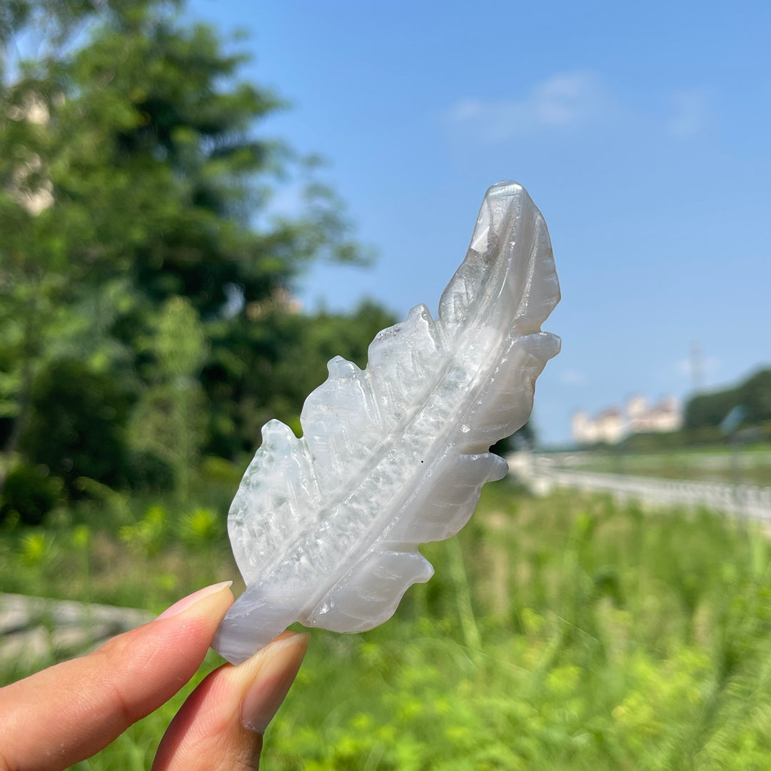 Natural Crystal Agate Feather Carving
