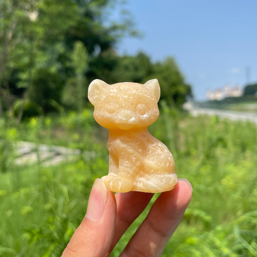 Natural Crystal Baby Leopard Carving