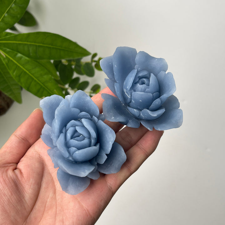 Único, tallado de flor de peonía de angelita de cristal natural