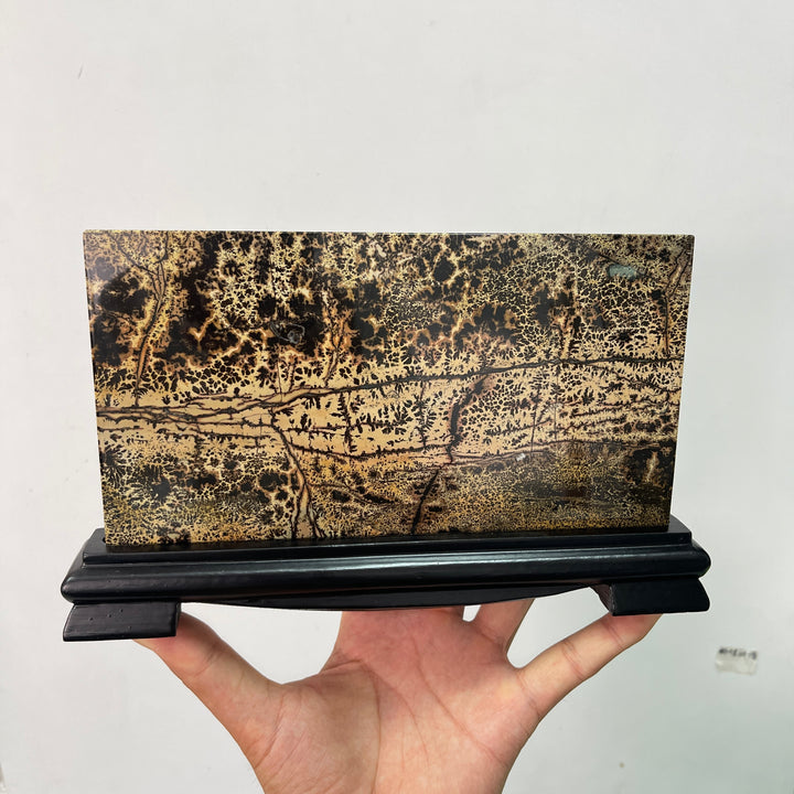 Unique,A Slightly Imperfect Natural Picture Jasper Landscape Ornament