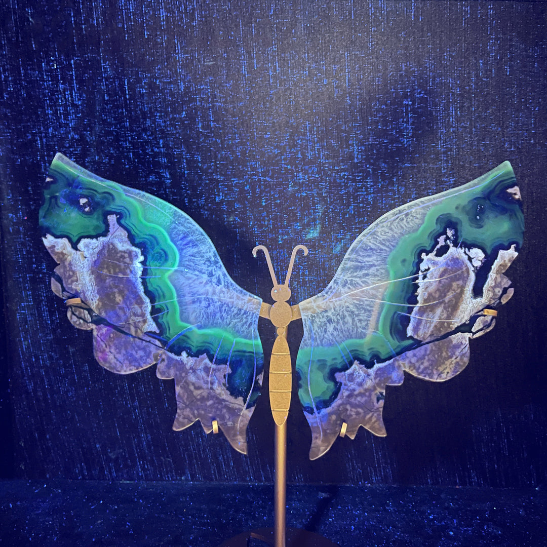 Unique,Natural Crystal Volcanic Agate Butterfly Wing With Stand