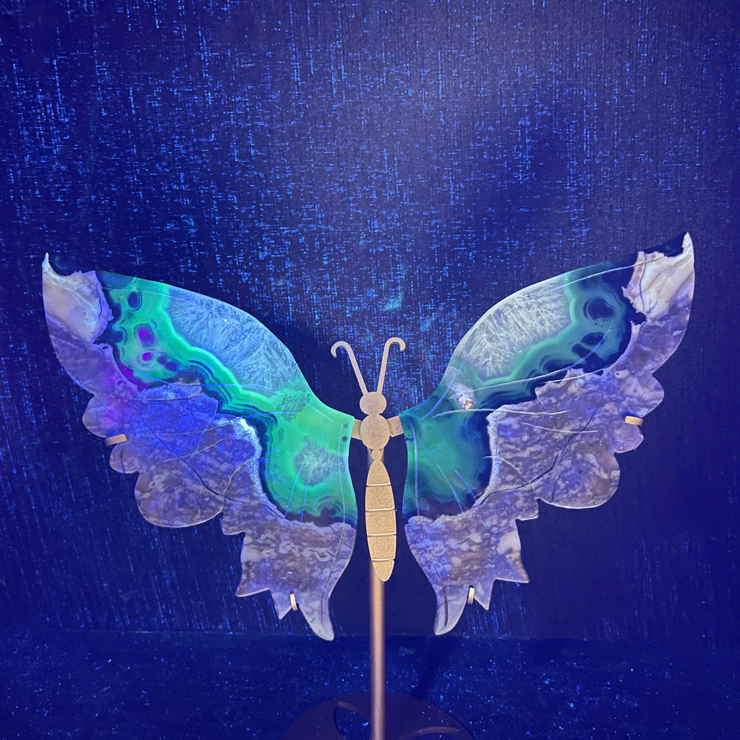 Unique,Natural Crystal Volcanic Agate Butterfly Wing With Stand